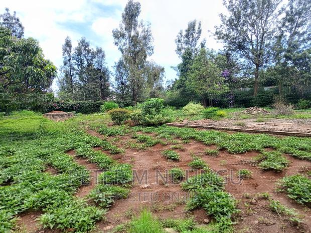 Thome One, Prime 1/2 Acre Plot - thumbnail 9