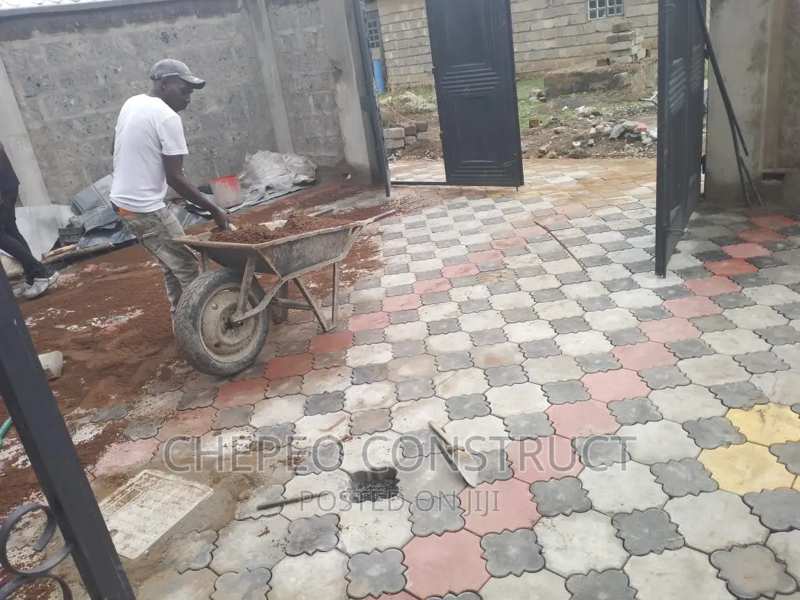 Attractive Colored Cabro Pavers