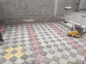 Attractive Colored Cabro Pavers