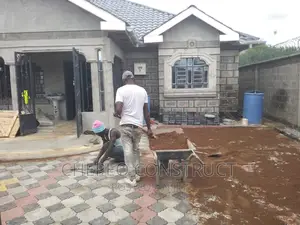 Attractive Colored Cabro Pavers
