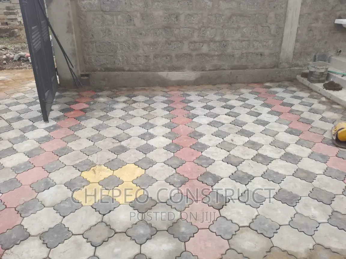Attractive Colored Cabro Pavers