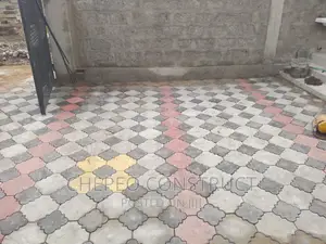 Attractive Colored Cabro Pavers