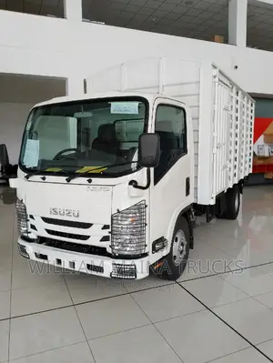 Isuzu NMR Truck