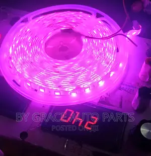 Snake Light 12v and 24v.