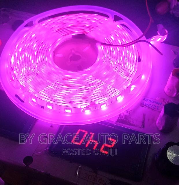 Snake Light 12v and 24v.
