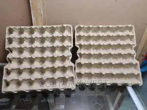 Paper/Carton Egg Trays-Minimum Order 300 PCS