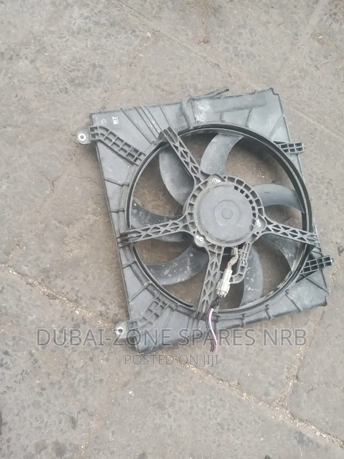 NISSAN MARCH Funs Complete Now Available