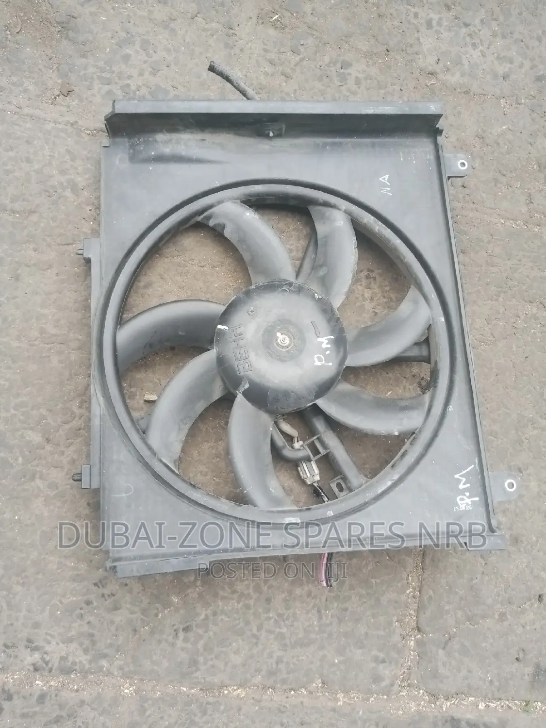 NISSAN MARCH Funs Complete Now Available
