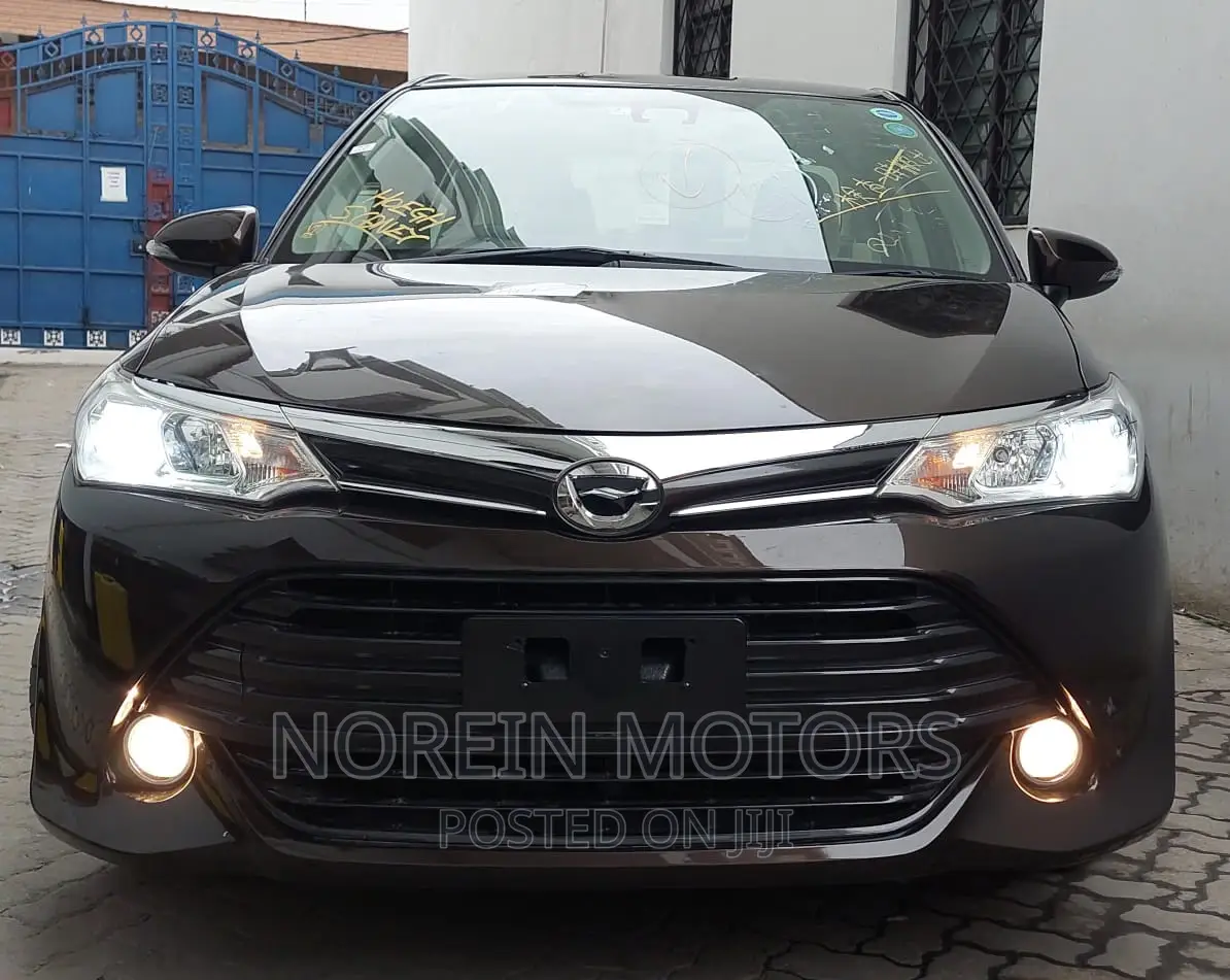 Toyota Axio 2017 Brown