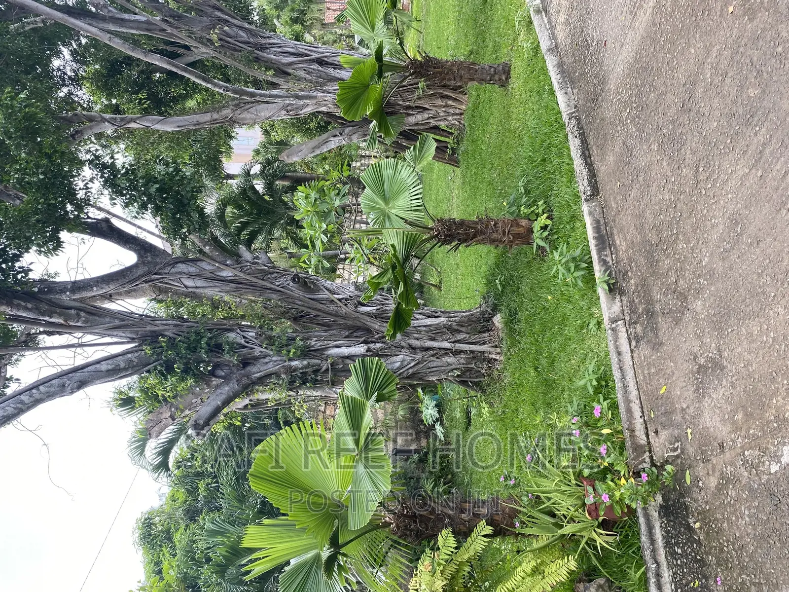 6bdrm Maisonette in Nyali for sale