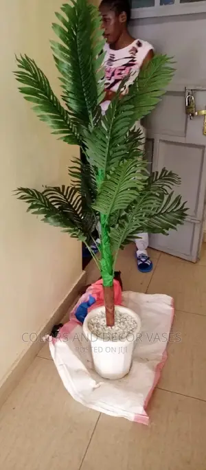 Palm Tree KSH 3000 With Vase and Pebble Stones