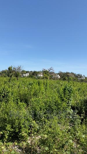 Galu Quarter Acre Plots - thumbnail 2