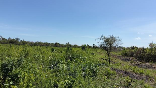 Galu Quarter Acre Plots - thumbnail 4