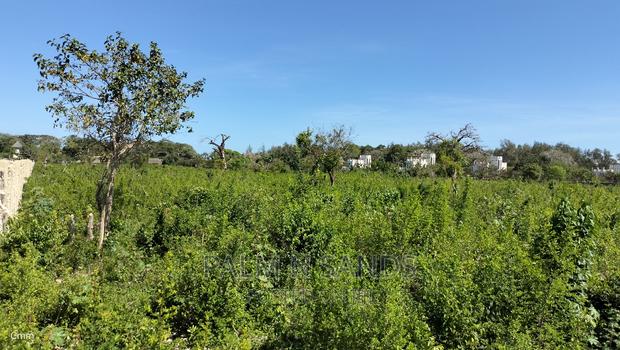 Galu Quarter Acre Plots - thumbnail 5