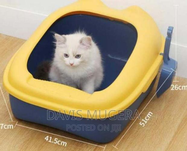 Romeow Anti-Splash Cat Litter Box - Large Size - main view