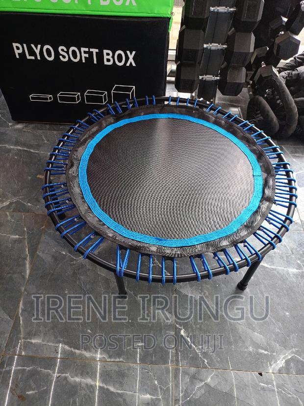 Trampoline "Trampoline"Trampoline - main view