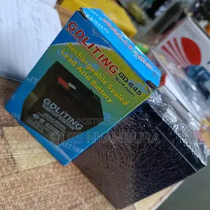 Rechargeable Battery for Balance Scale