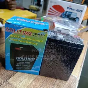 Rechargeable Battery for Balance Scale