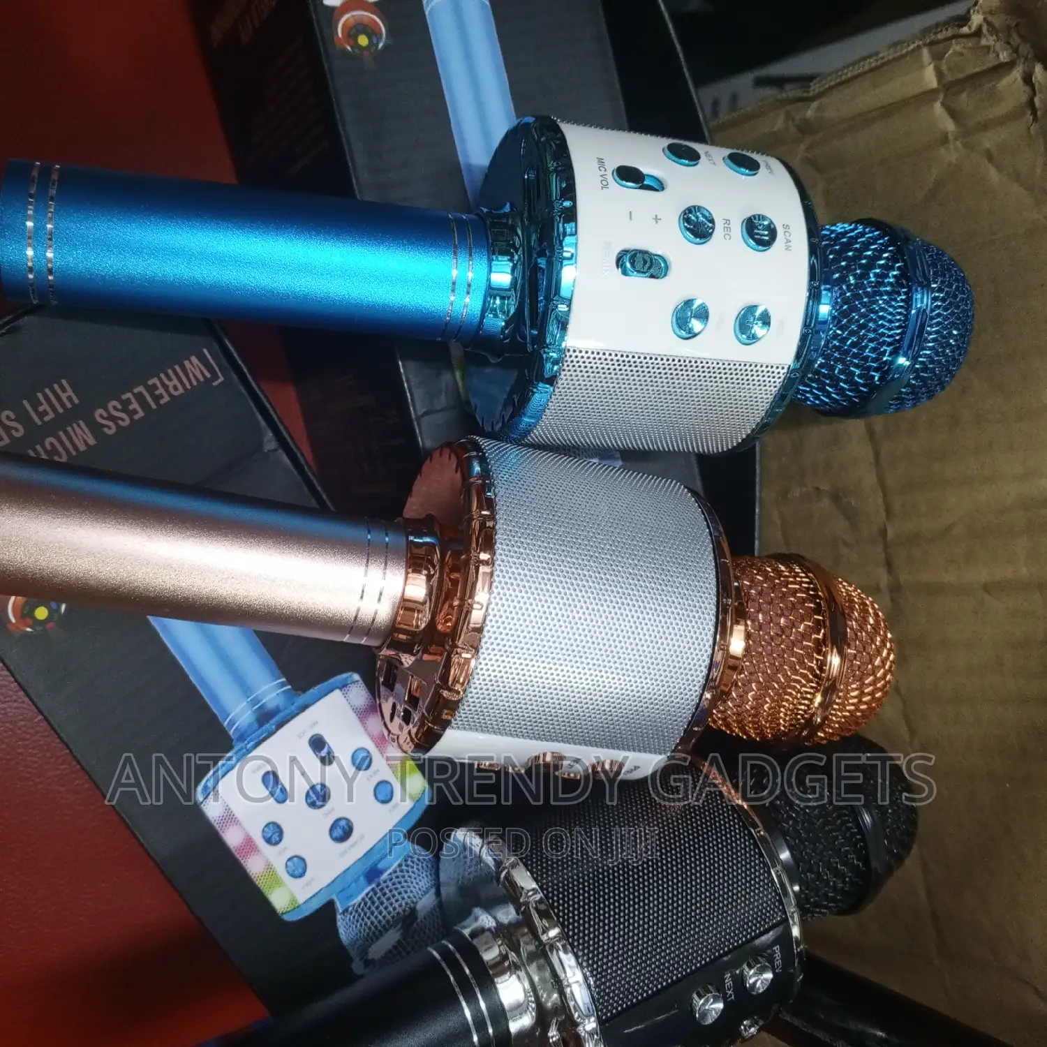 Kids Karaoke Microphone With Flash Mem and Aux Port