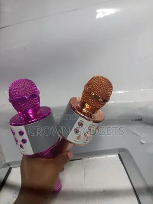 Karaoke Microphone