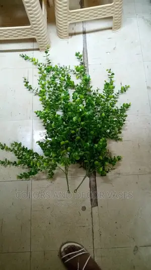 Vines KSH 700 Offer Price