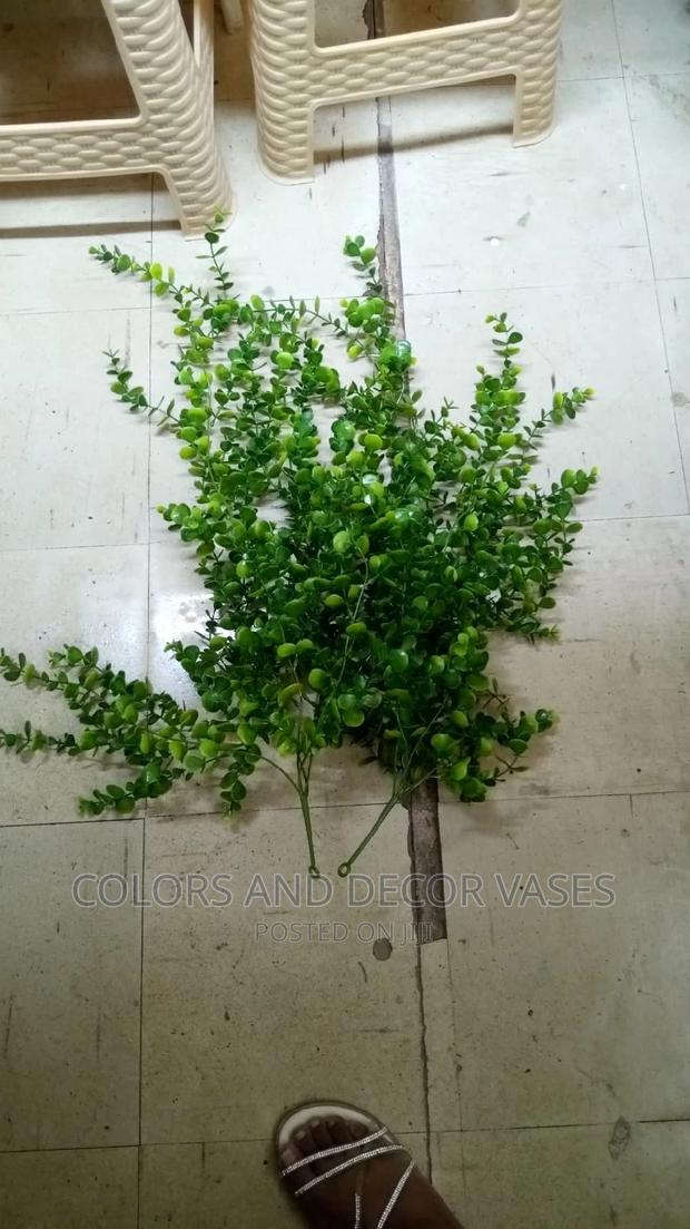 Vines KSH 700 Offer Price