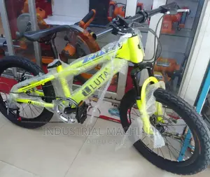 Mountain Bike -Size 20