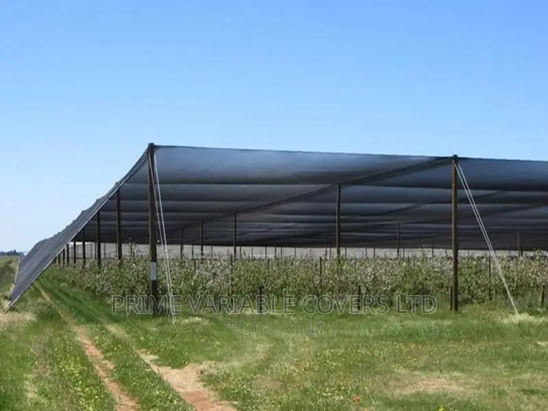 A Shade Net #Black