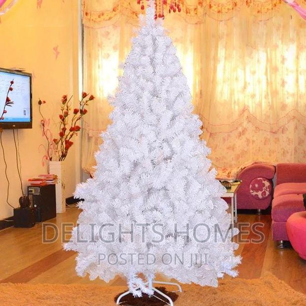 White Cyprus Christmas Trees*5ft