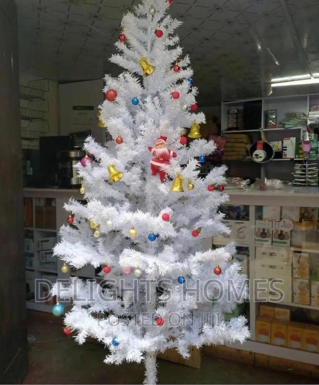 White Cyprus Christmas Trees*5ft - thumbnail 2
