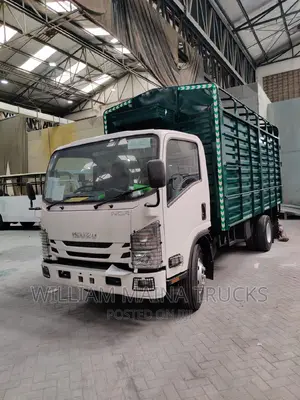 Isuzu NQR Truck