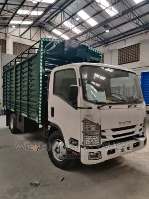 Isuzu NQR Truck