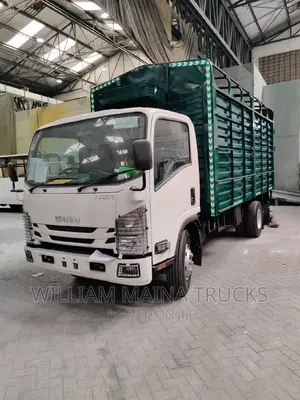 Isuzu NQR Truck