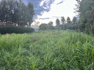 Prime Commercial Plot for Sale in Kikuyu