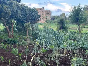Prime Commercial Plot for Sale in Kikuyu