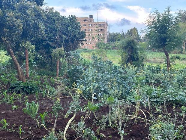 Prime Commercial Plot for Sale in Kikuyu - thumbnail 3