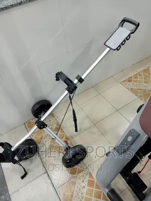 3 Wheel Golf Cart