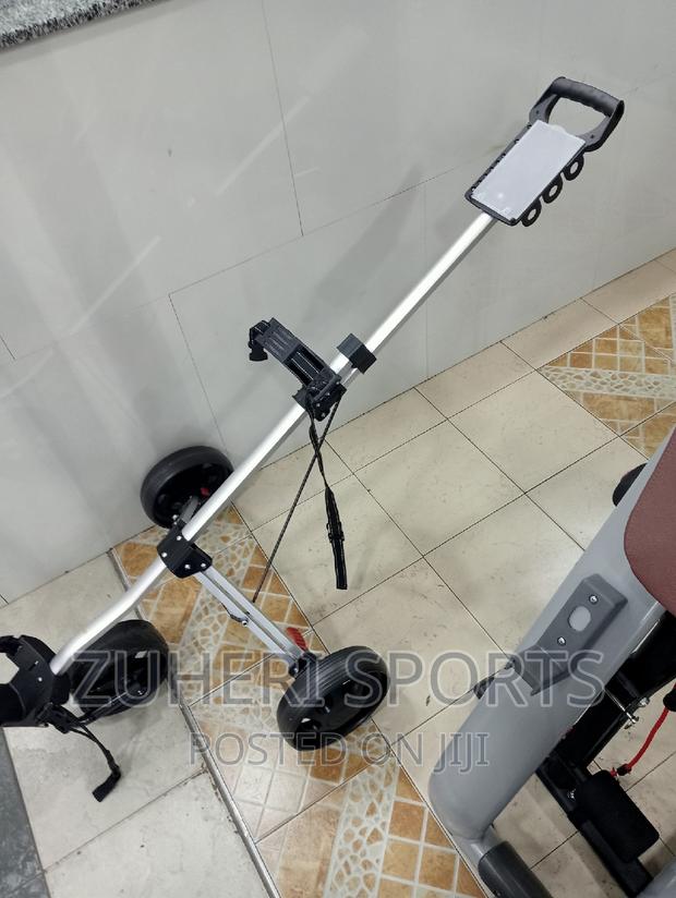 3 Wheel Golf Cart - main view