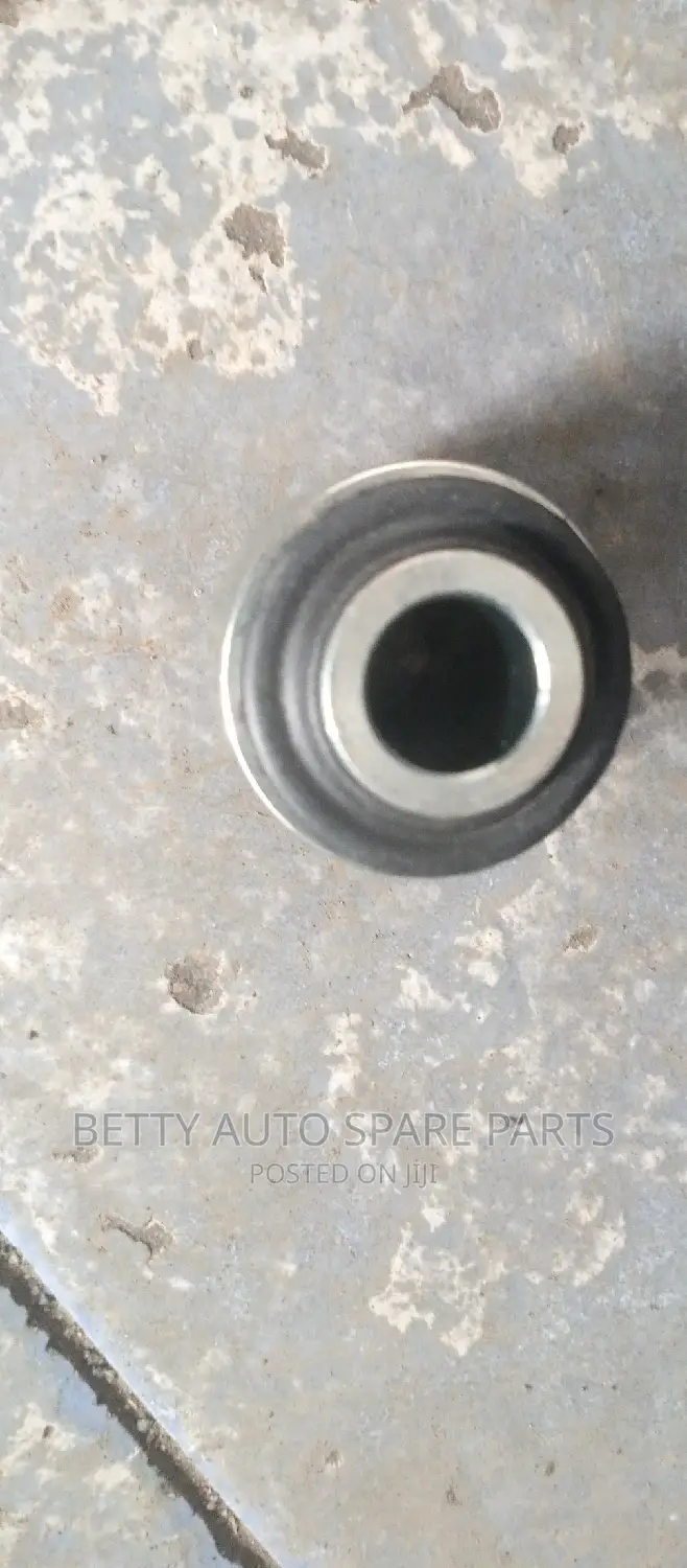 Toyota Lexus Axiel Rear Bushes