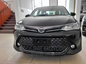 Toyota Axio 2016 Black