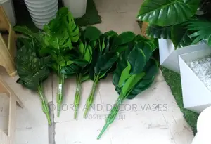 Plants Artificial