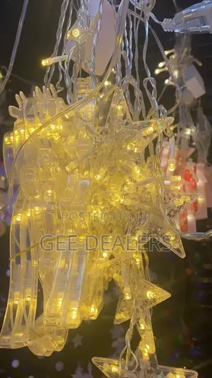 LED Christmas Lights