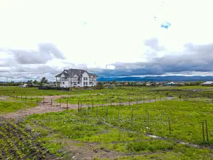 Plots Near Tarmac Along Kangundo Road Mw^