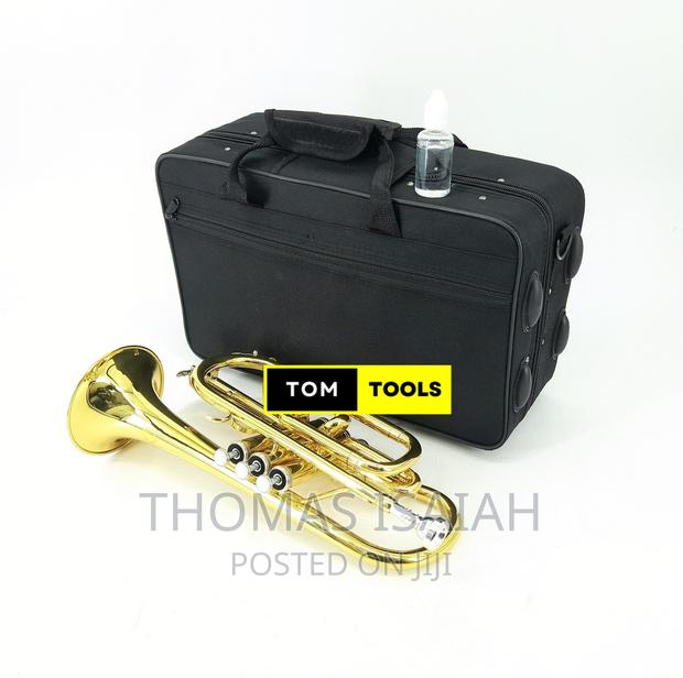 Suzuki Professional B♭ B-Flat Cornet, Gold Lacquer in Hard C - main view