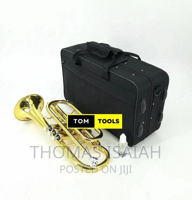 Suzuki Professional B♭ B-Flat Cornet, Gold Lacquer in Hard C - thumbnail 6