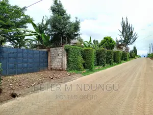 Prime on Sale, Kamiti Ridge Estate
