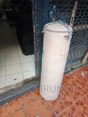 New 40kg Punching Bag