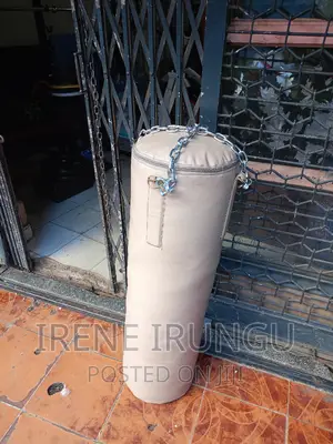 40kg Punching Bag::Gym Bag