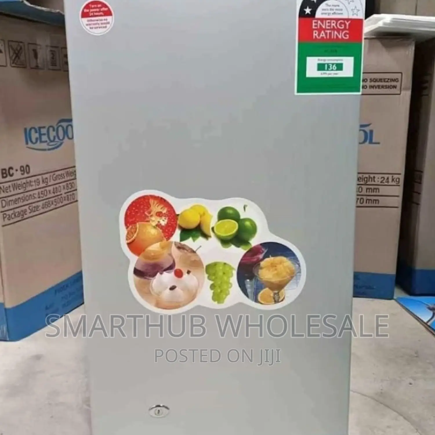 Ecomax Fridge 90 Litres Refrigerator Single Door