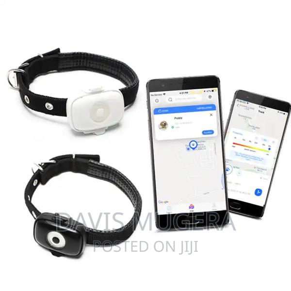 Waterproof GPS Dog Shock Collars Tracker, SOS Alarm 4G - main view